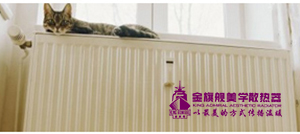 低碳钢星欧注册优缺点介绍