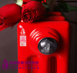 钢制星欧注册用什么品牌的好