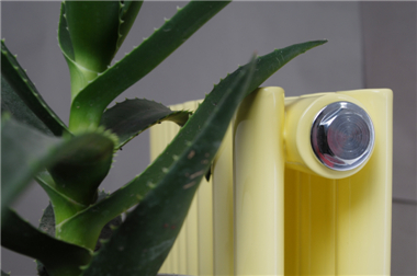 家用星欧注册图片,星欧家用星欧注册图片