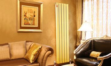 星欧铜铝复合散热器