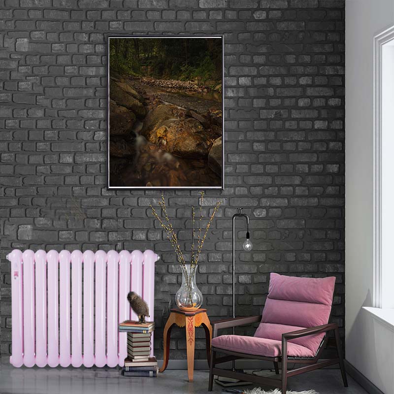 防腐金刚星欧注册